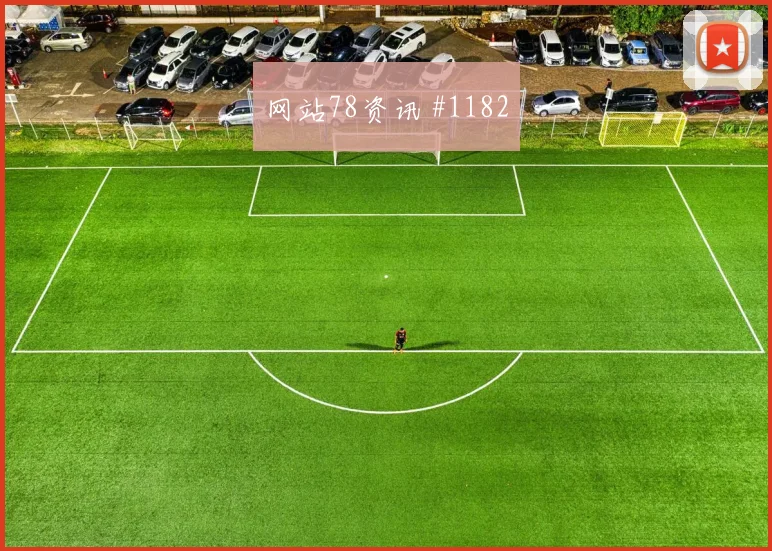 澳大利亚vs土耳其小组赛主帅部署