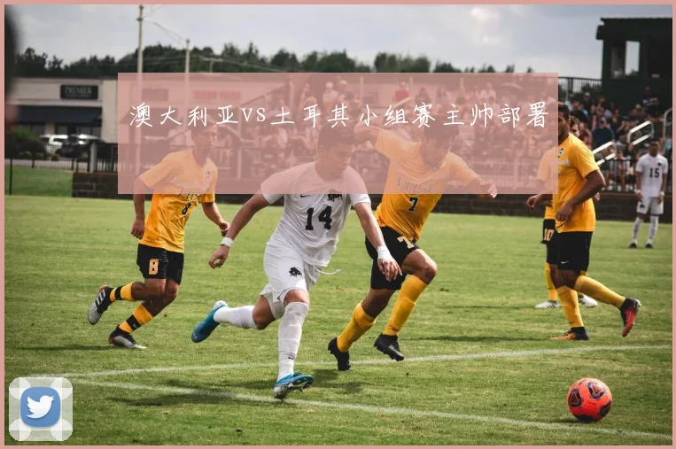澳大利亚vs土耳其小组赛主帅部署
