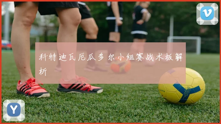 科特迪瓦厄瓜多尔小组赛战术板解析