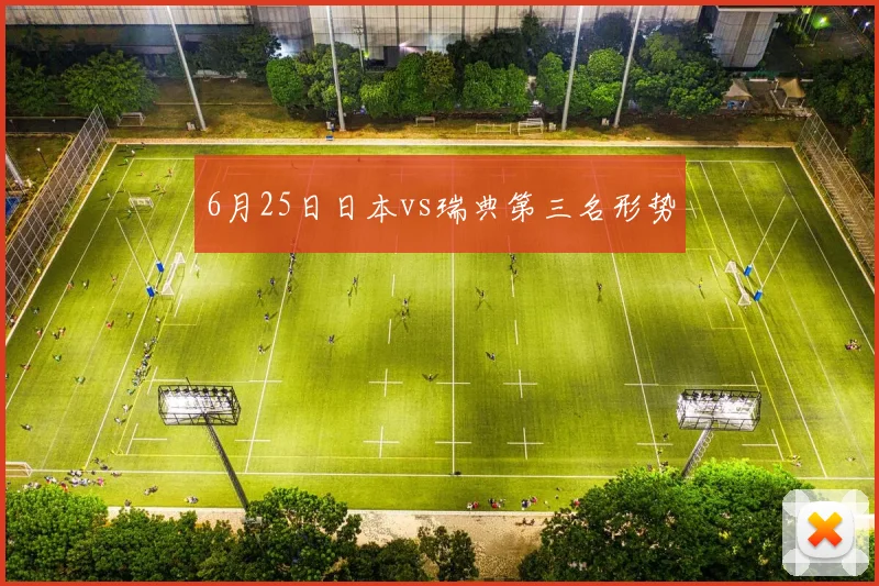 6月25日日本vs瑞典第三名形势