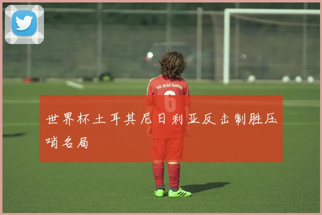 世界杯土耳其尼日利亚反击制胜压哨名局