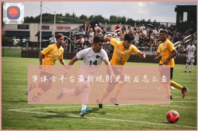 华体会平台最新规则更新后怎么查