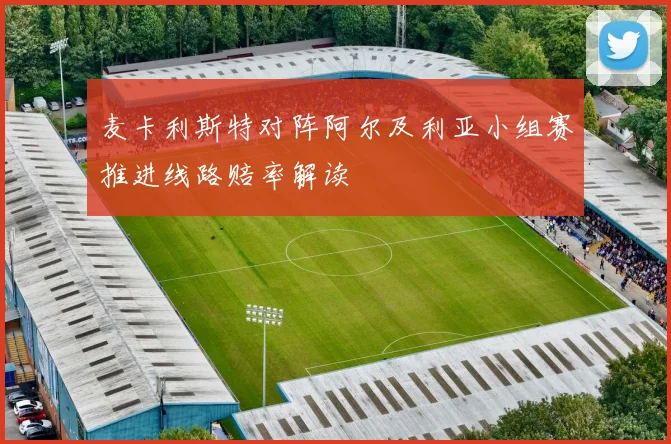 麦卡利斯特对阵阿尔及利亚小组赛推进线路赔率解读