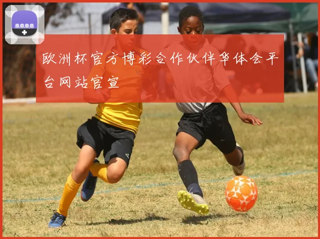 欧洲杯官方博彩合作伙伴华体会平台网站官宣