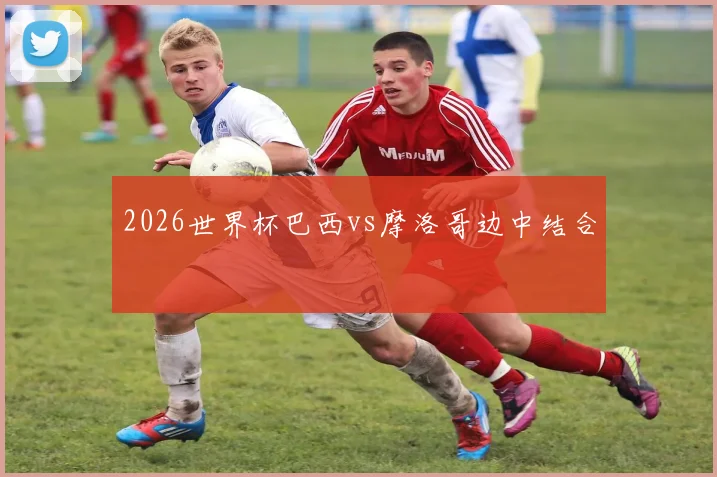2026世界杯巴西vs摩洛哥边中结合