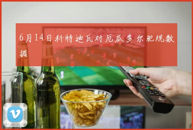 6月14日科特迪瓦对厄瓜多尔犯规数据